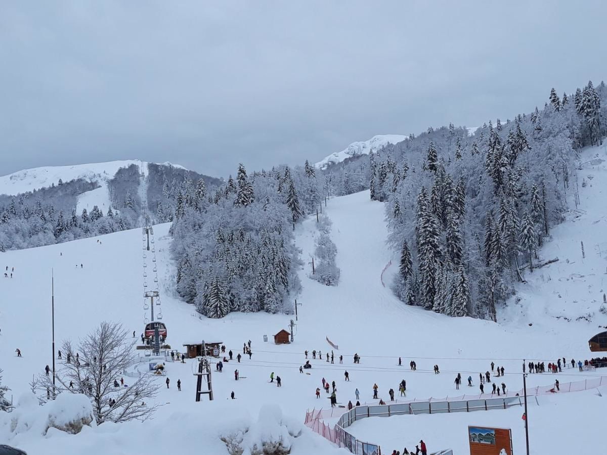 Лоджи Lodge Breza Lux Колашин