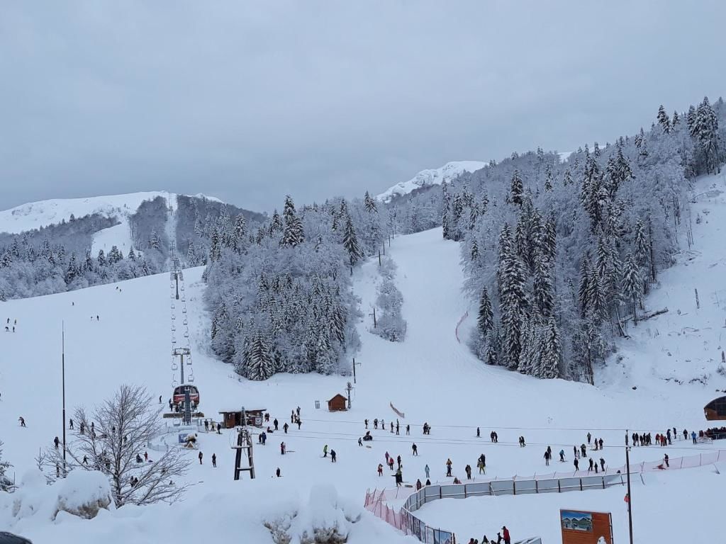 Лоджи Lodge Breza Lux Колашин