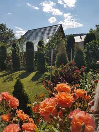 Лоджи Lodge Breza Lux Колашин-1