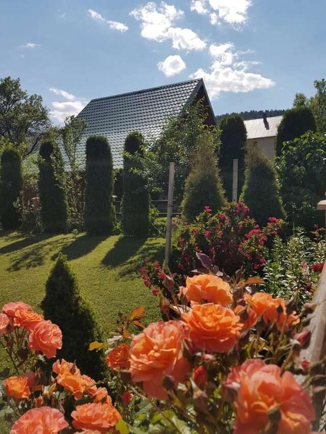 Лоджи Lodge Breza Lux Колашин-4