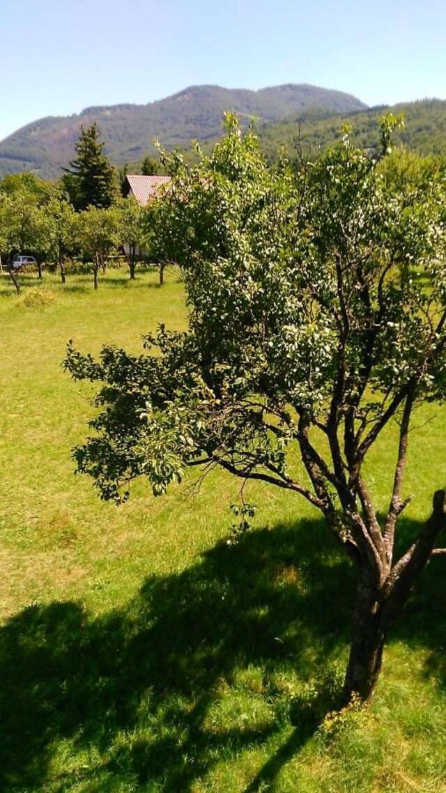 Лоджи Lodge Breza Lux Колашин-29